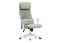 Компьютерное кресло Salta light green / white (65x65x110)